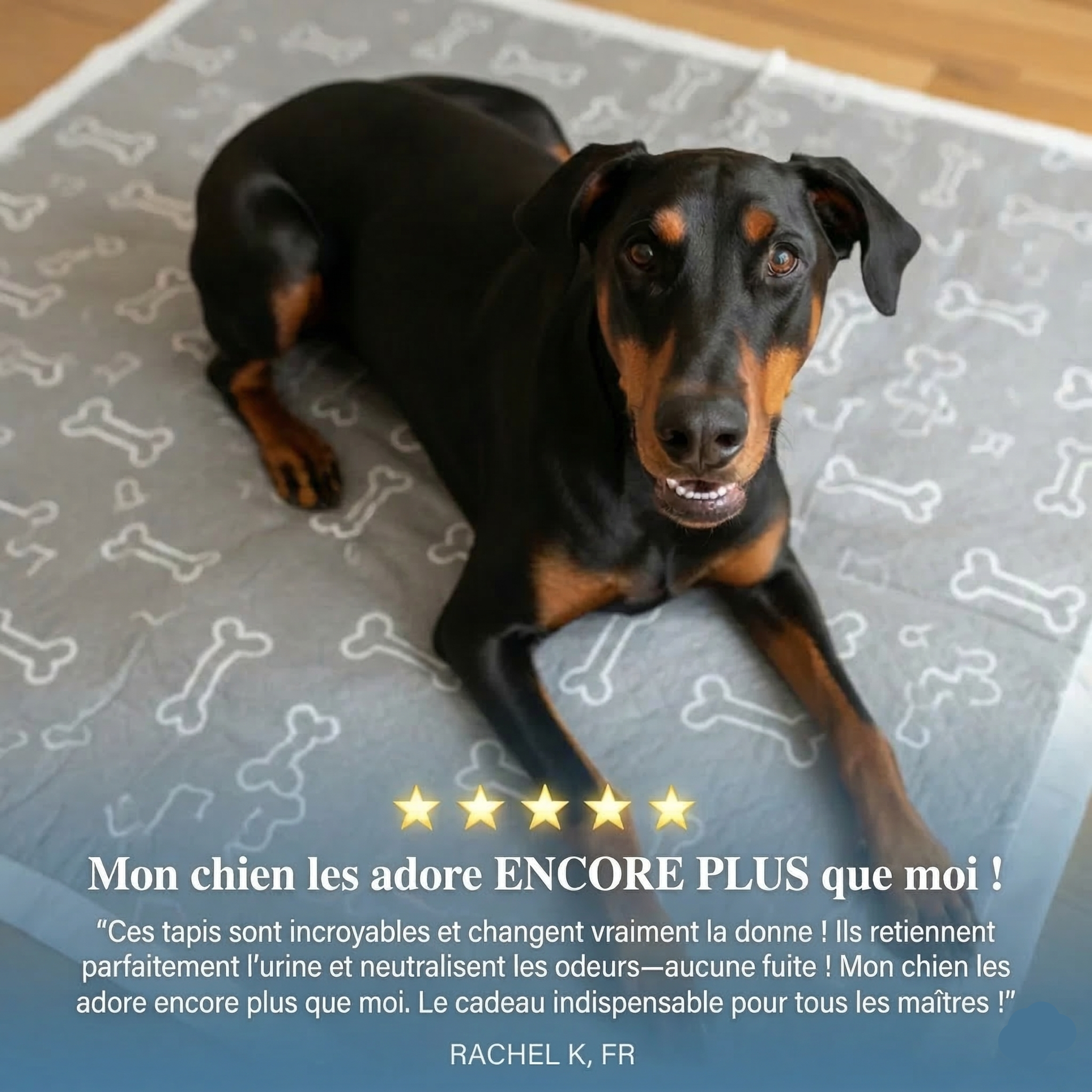 Tapis de propreté WoofPad